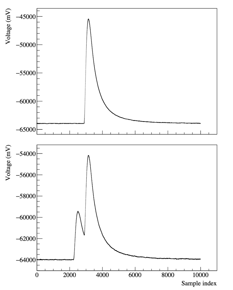 CUORE single-pulse and pile-up waveforms