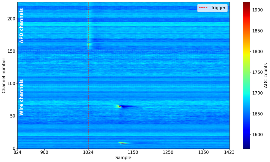 EXO-200 event waveforms across wire and APD channels