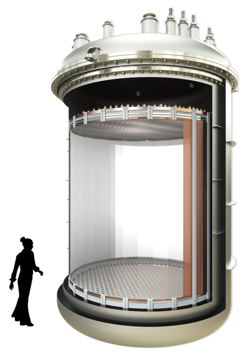 Rendering of the XLZD liquid xenon time projection chamber